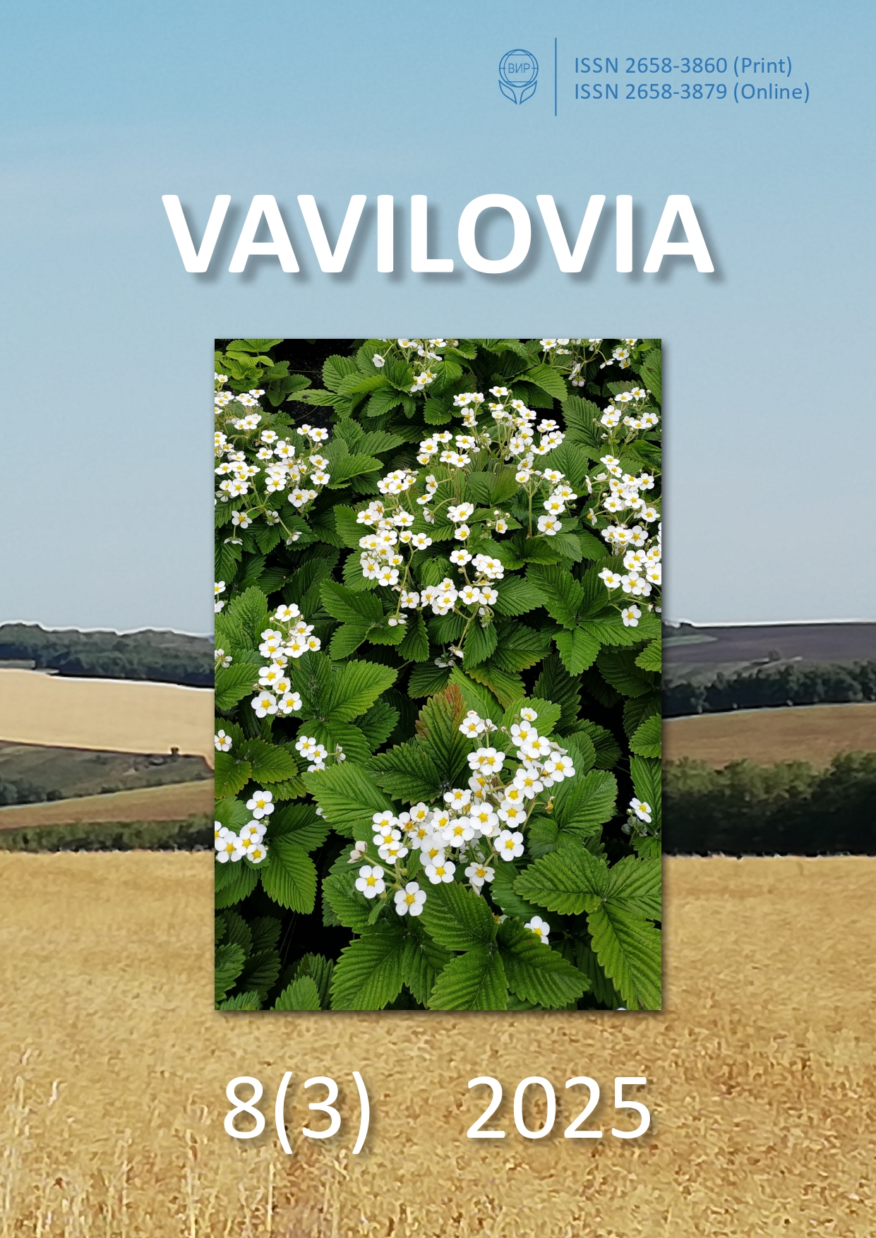 Титульный лист